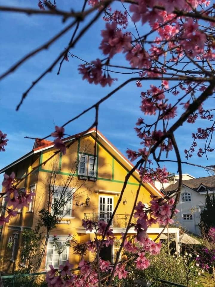 Hotel BICH DAO Boutique - Dalat Extérieur photo