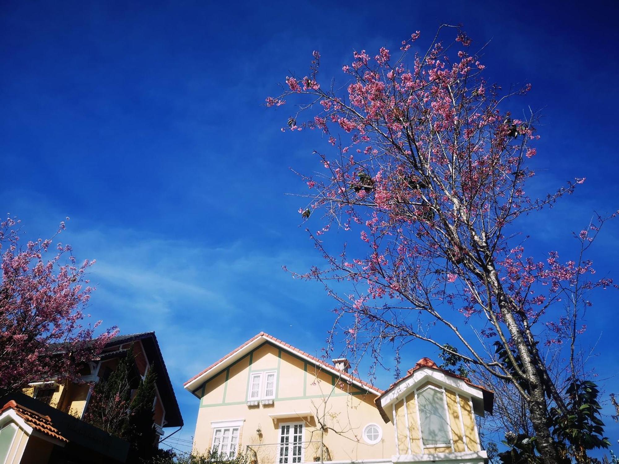 Hotel BICH DAO Boutique - Dalat Extérieur photo